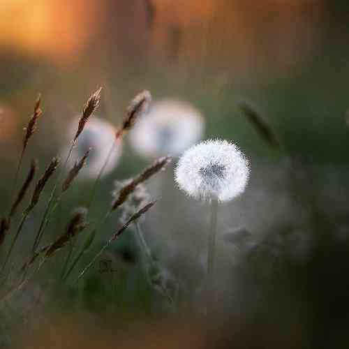  آرامم نگرد و نام مالمان یه شاو دور پیم و شار کرمانشاه دل دامه جاده